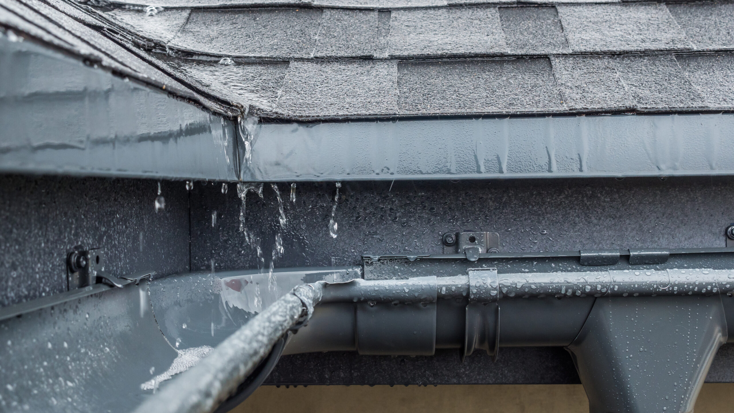 How to Repair a Roof Leak? A Complete Guide to Identification and Assessment